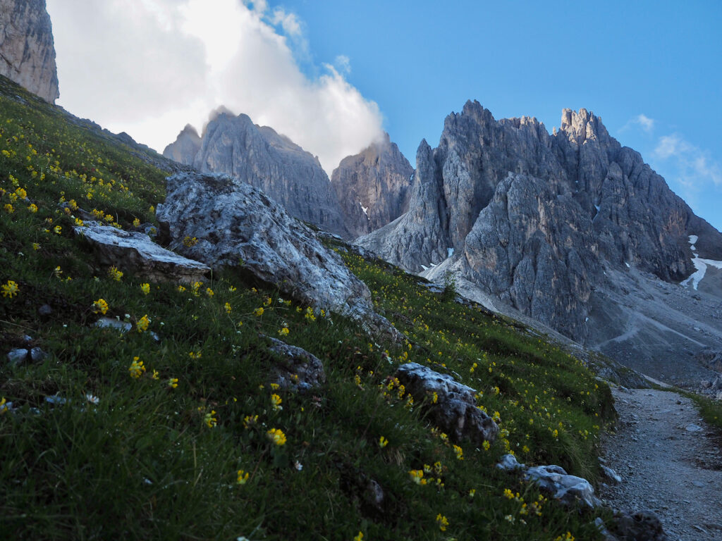 Kwieciste zbocze w Cadini di Misurina