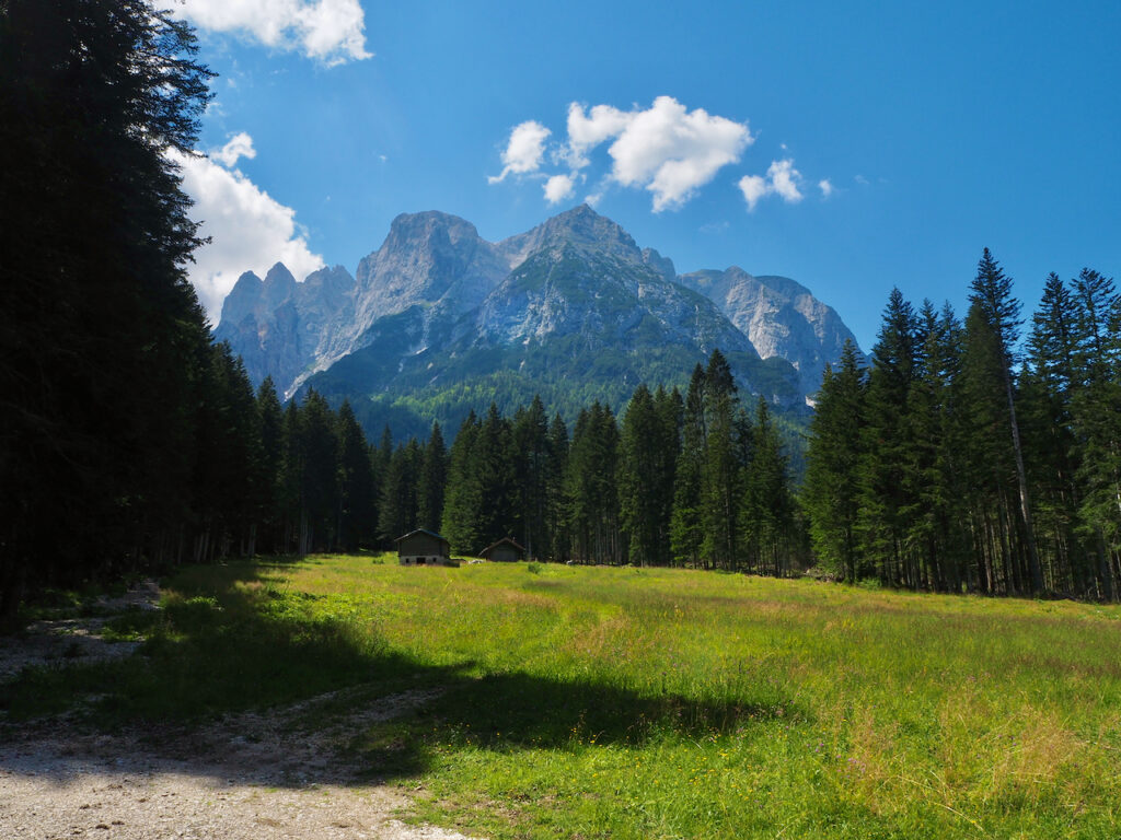 Marmarole Runde alpejska łąka