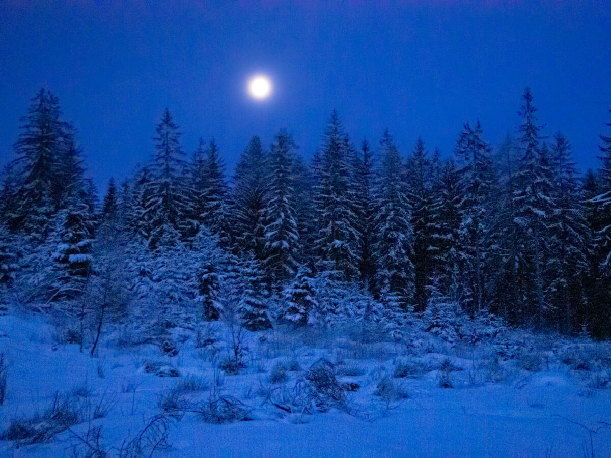 Borowa nocą