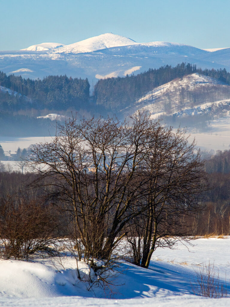 Śnieżka z Boguszowa-Gorców