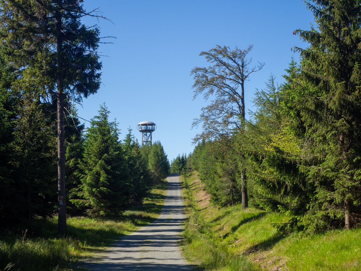 Jagona wieża widokowa