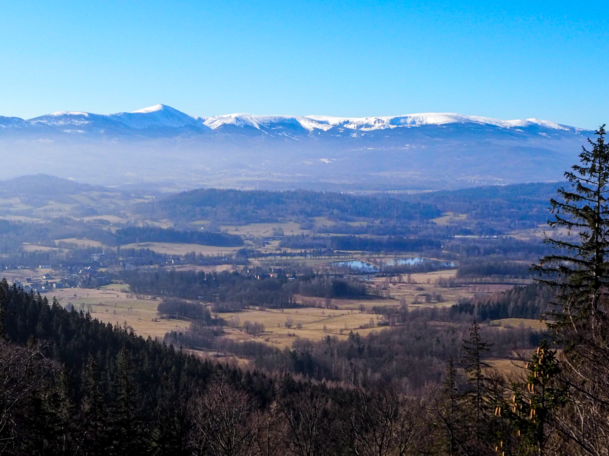 Karkonosze z Sokolika