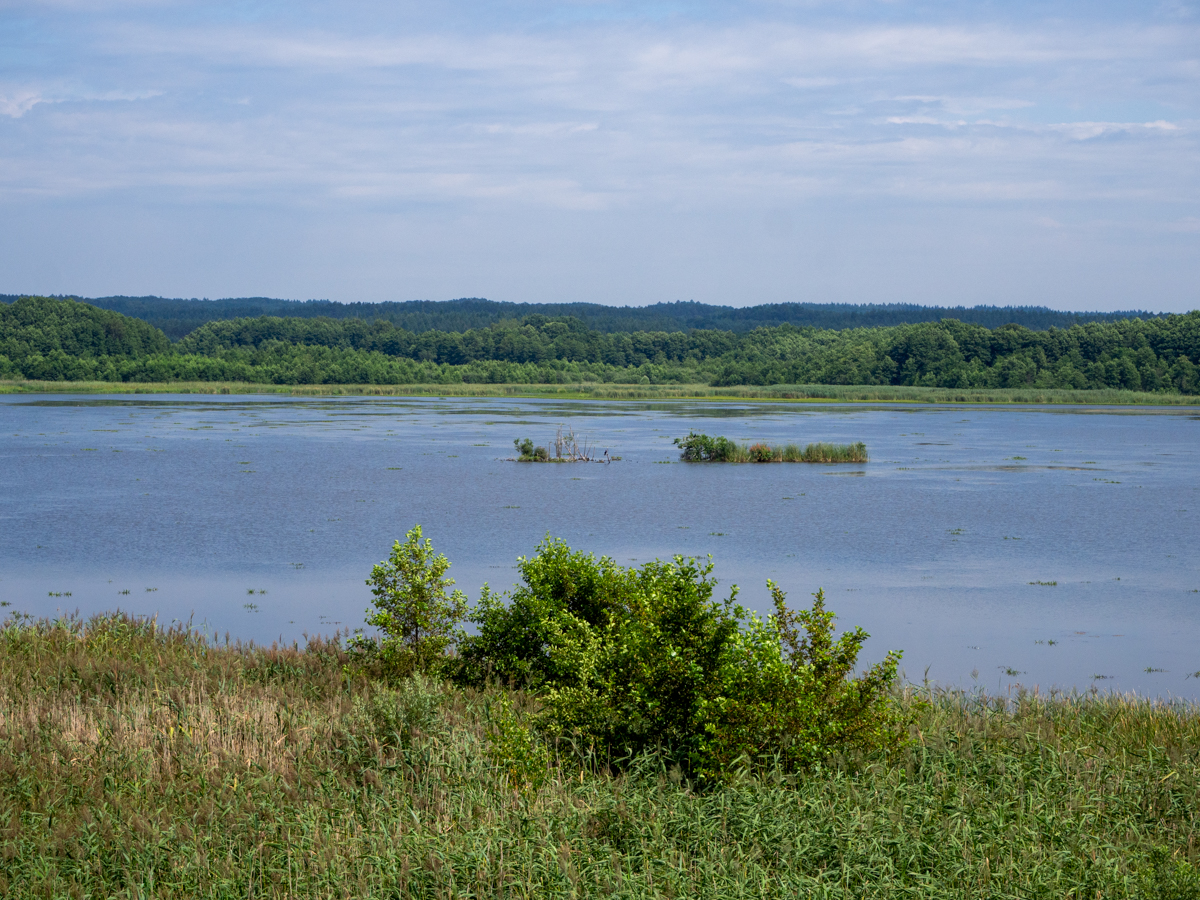 Jezioro Prosino