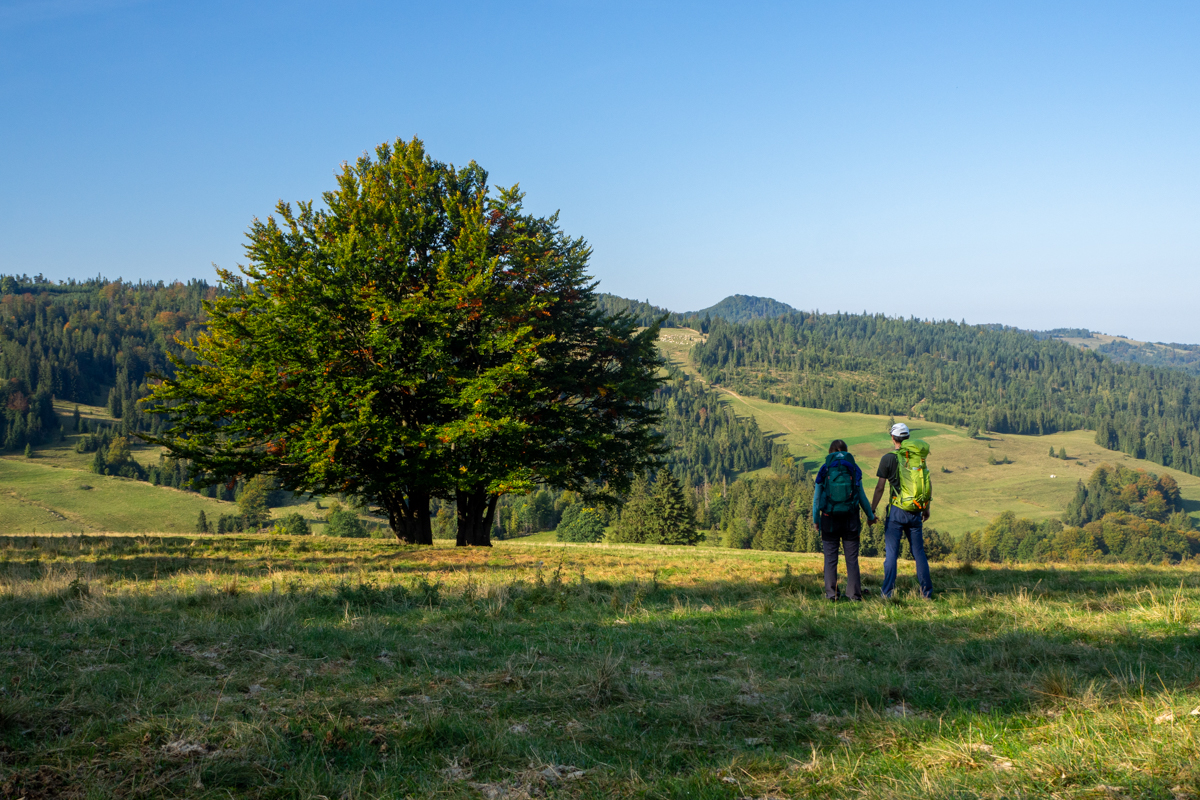Przełęcz Rozdziele