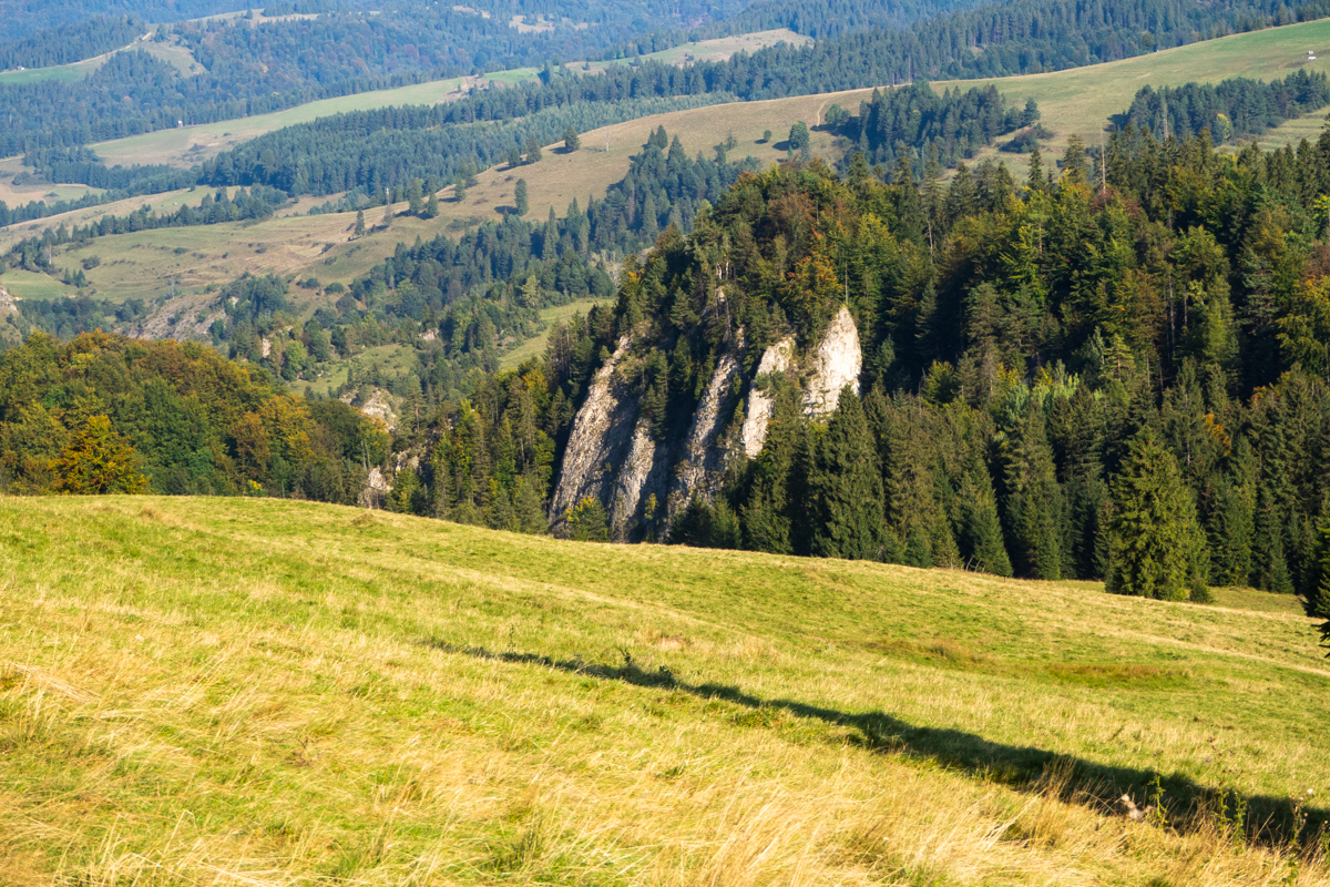Rezerwat Biała Woda