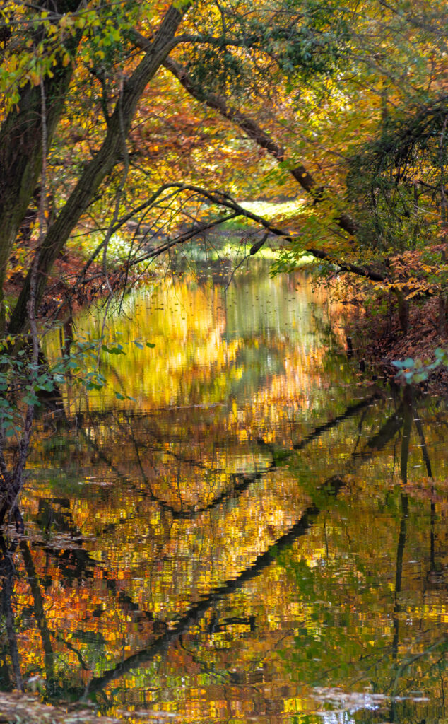 Park Wschodni jesień