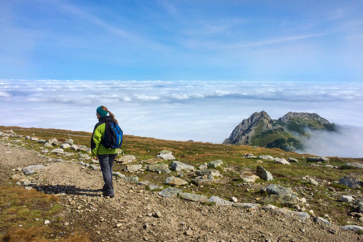 Czerwone Wierchy, widok na Giewont