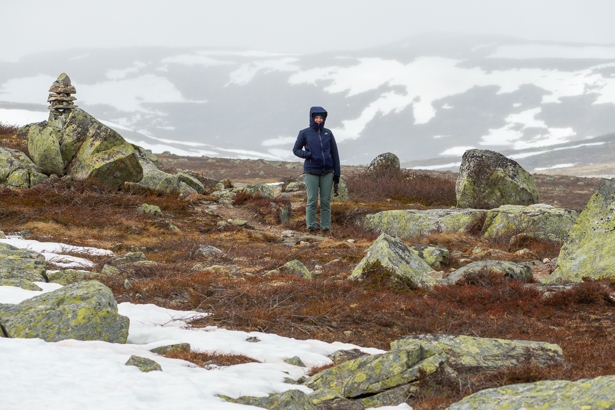 Hardangervidda spacer