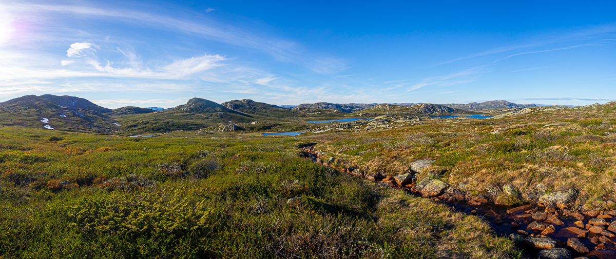 Wędrówka przez Hardangerviddę