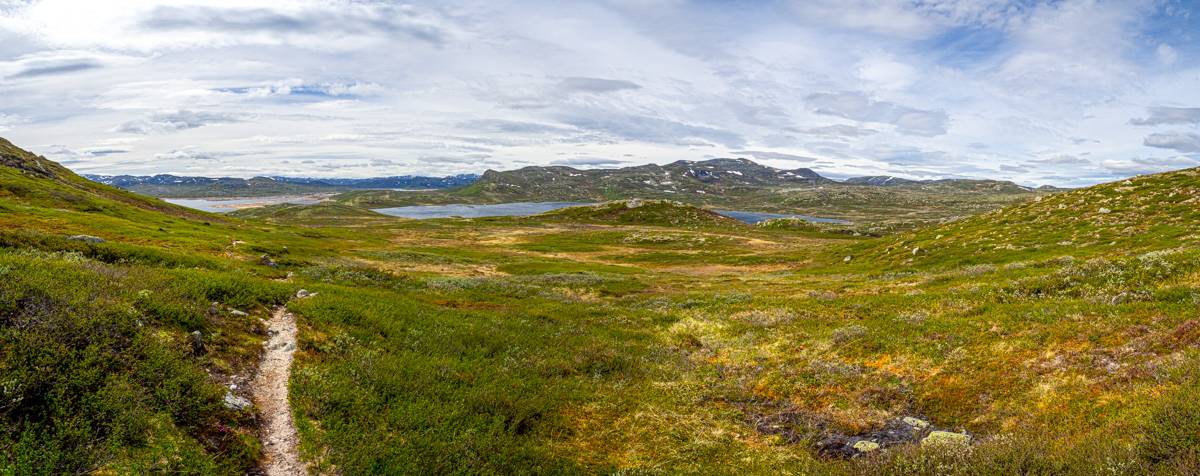 tundra hardangervidda