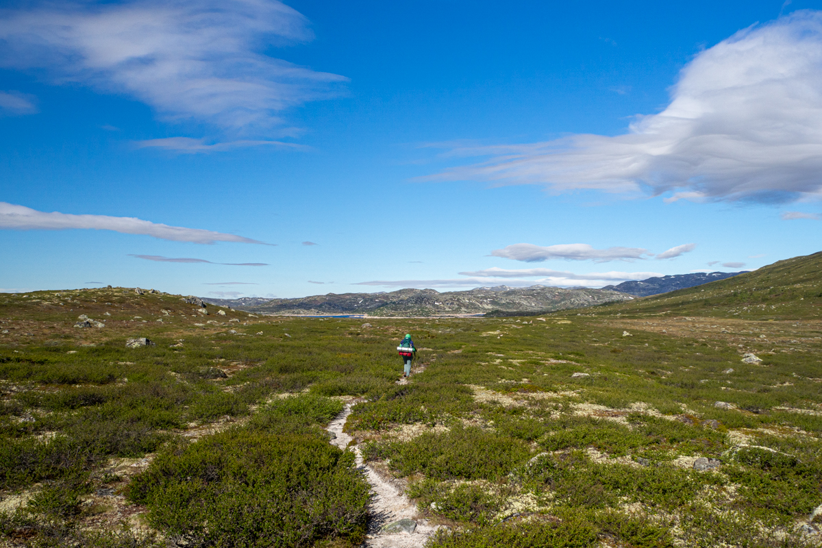 hardangervidda woda na szlaku