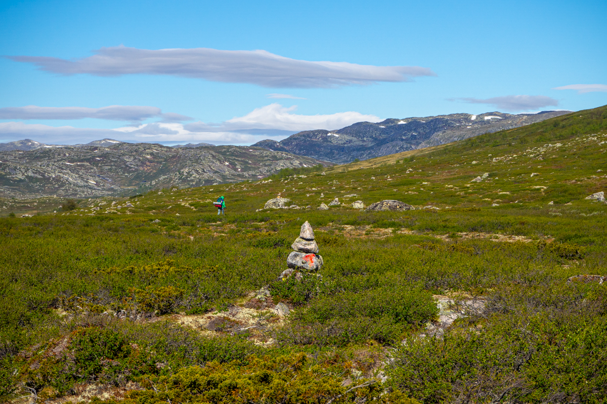 hardangervidda woda na szlaku