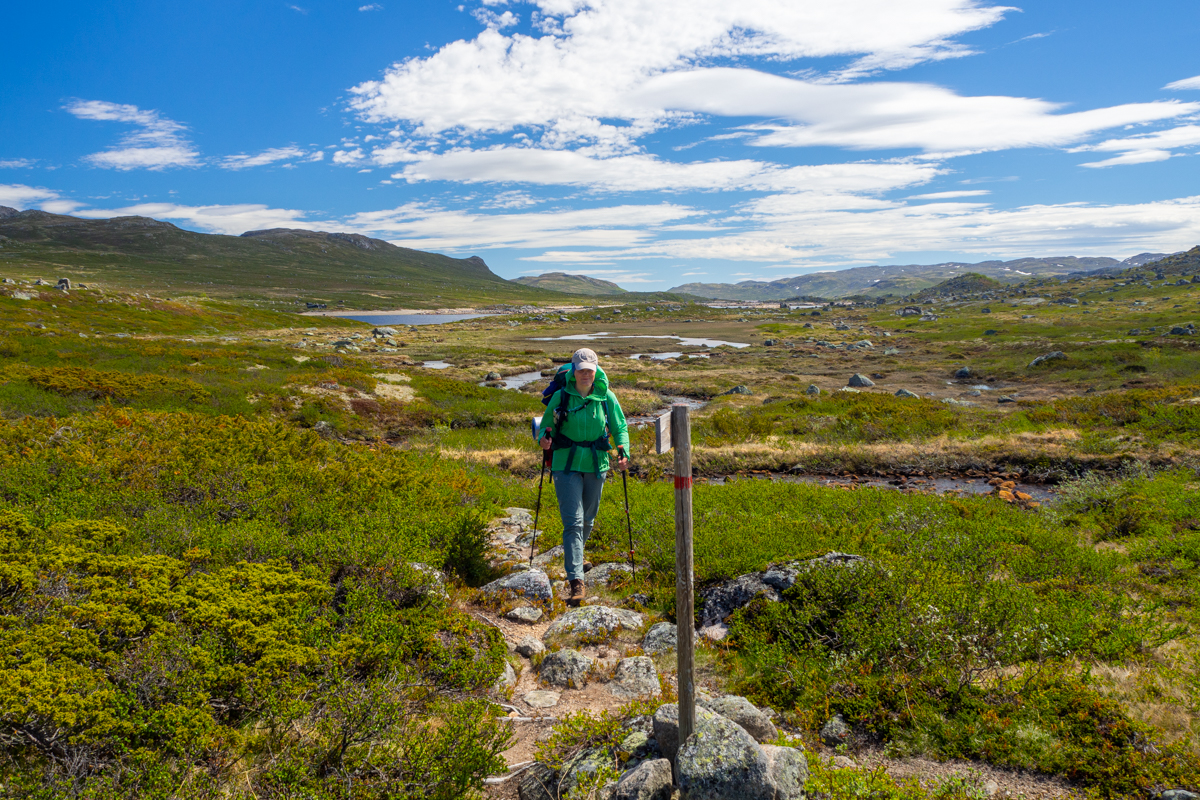 hardangervidda szlaki