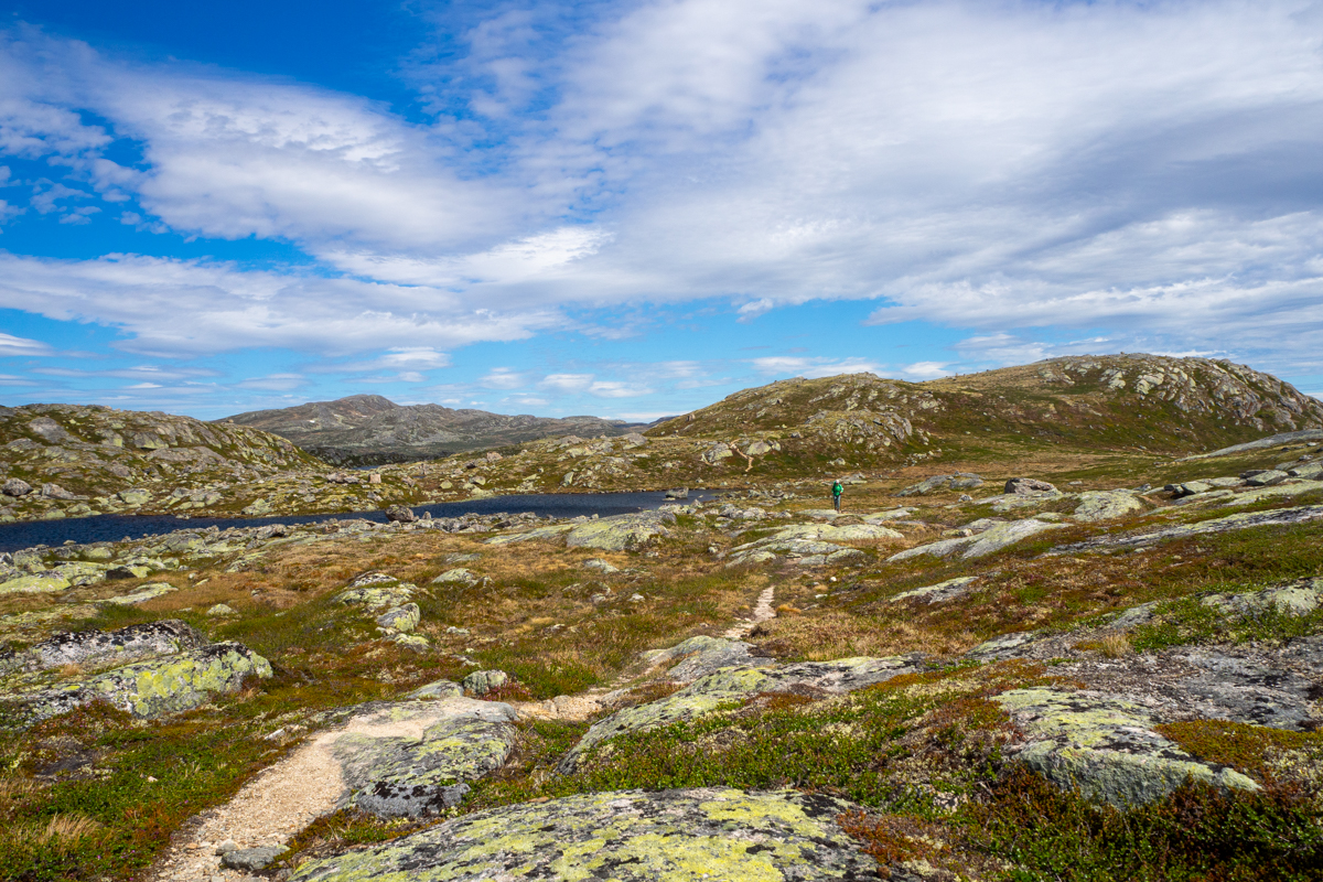 hardangervidda wędrówka