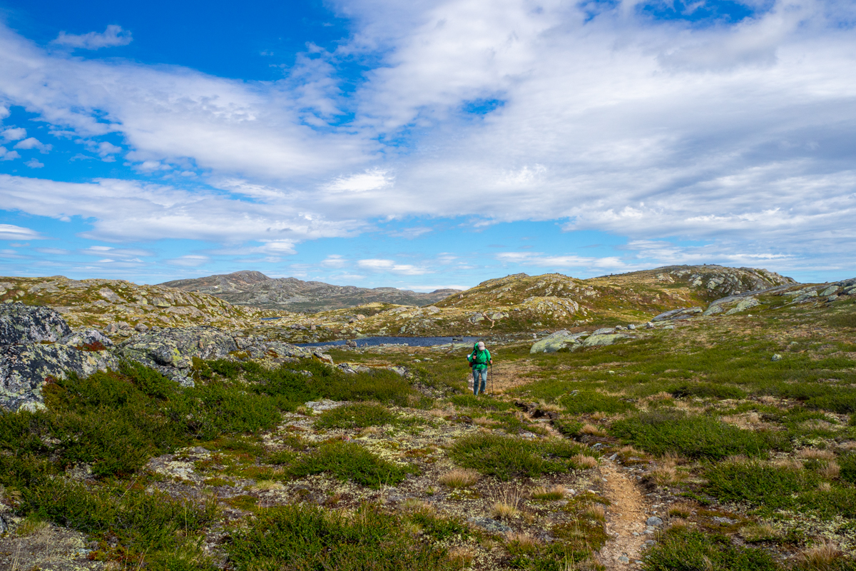 hardangervidda trekking