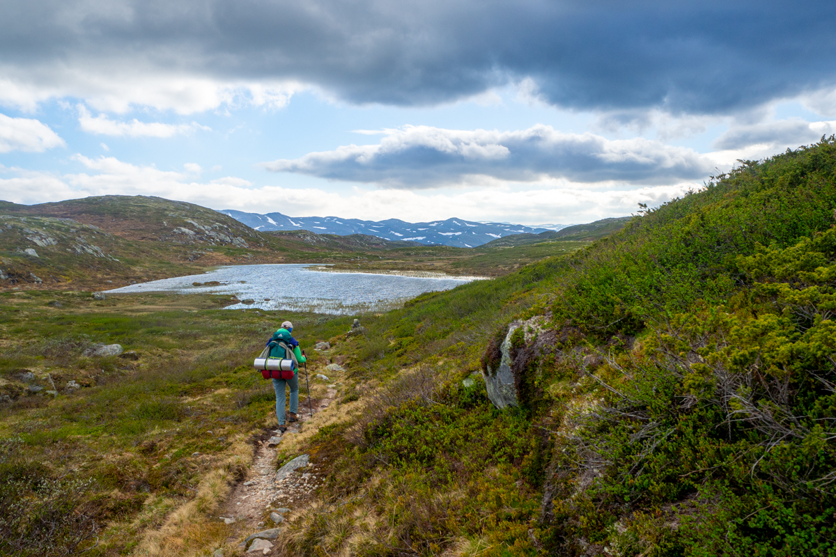 hardangervidda woda na szlaku