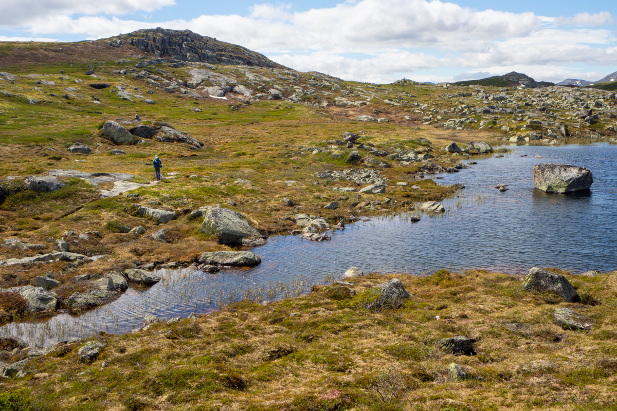 hardangervidda woda na szlaku