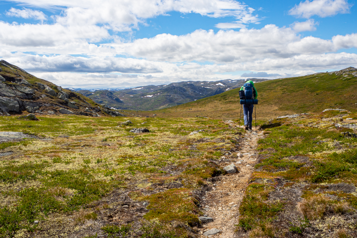 hardangervidda szlak