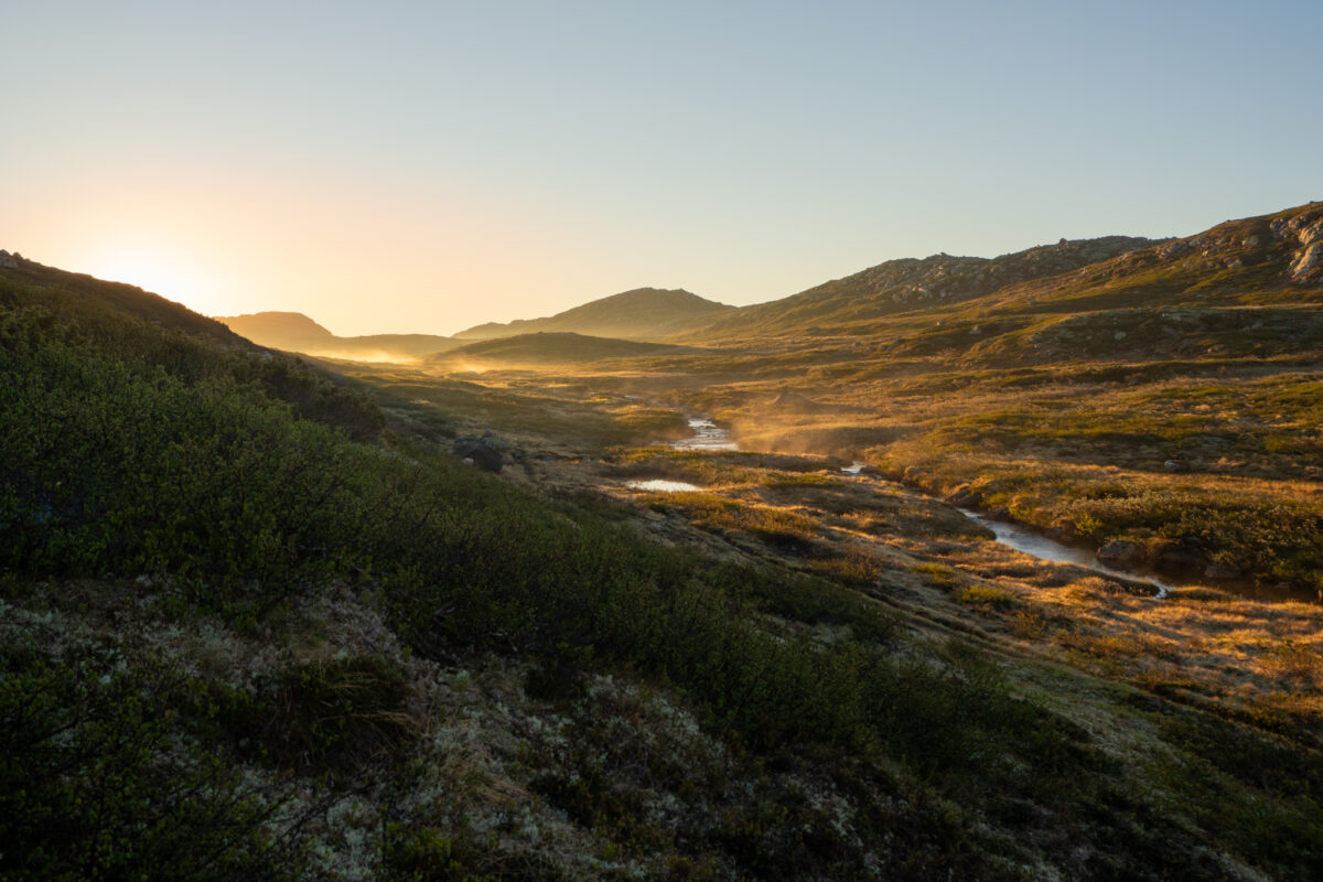 Hardangervidda wschód słońca