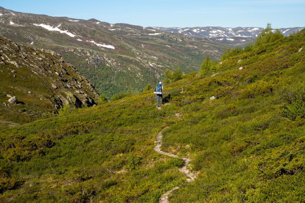 Hardangerviddda fiord