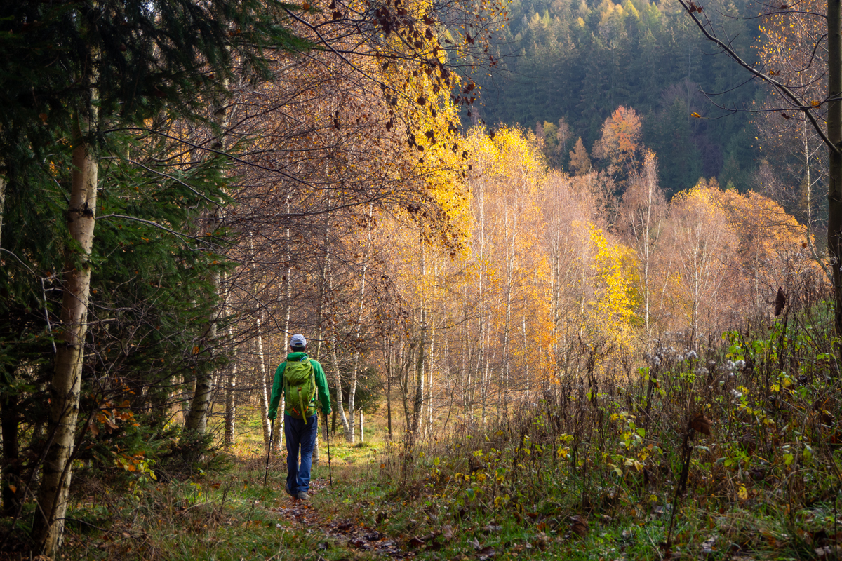Góry Bystrzyckie okolice Muflona