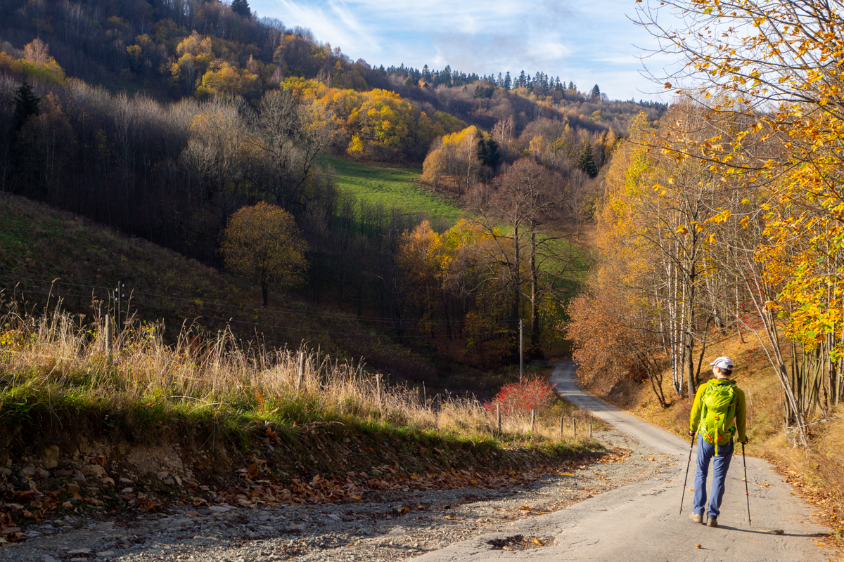 Góry Bystrzyckie Panderoza