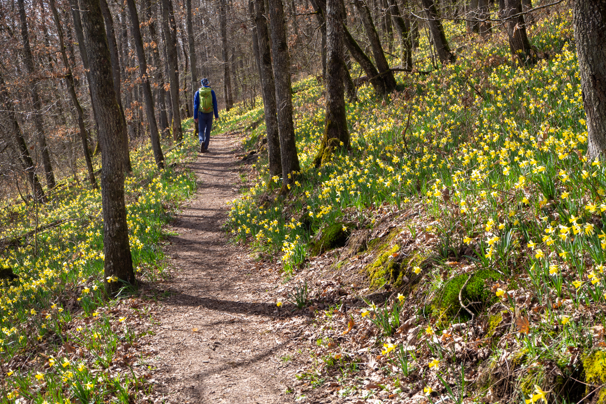 Via Botanica Lellingen