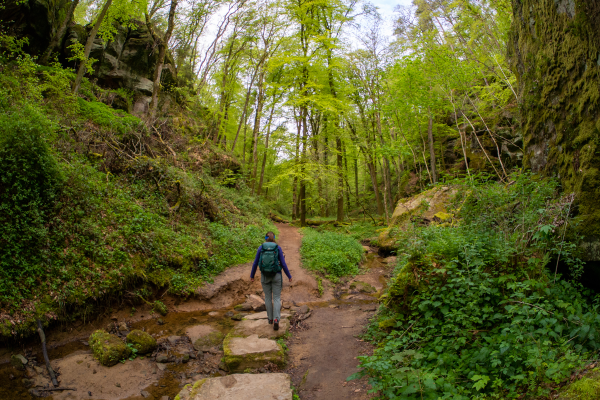 Echternach wąwóz