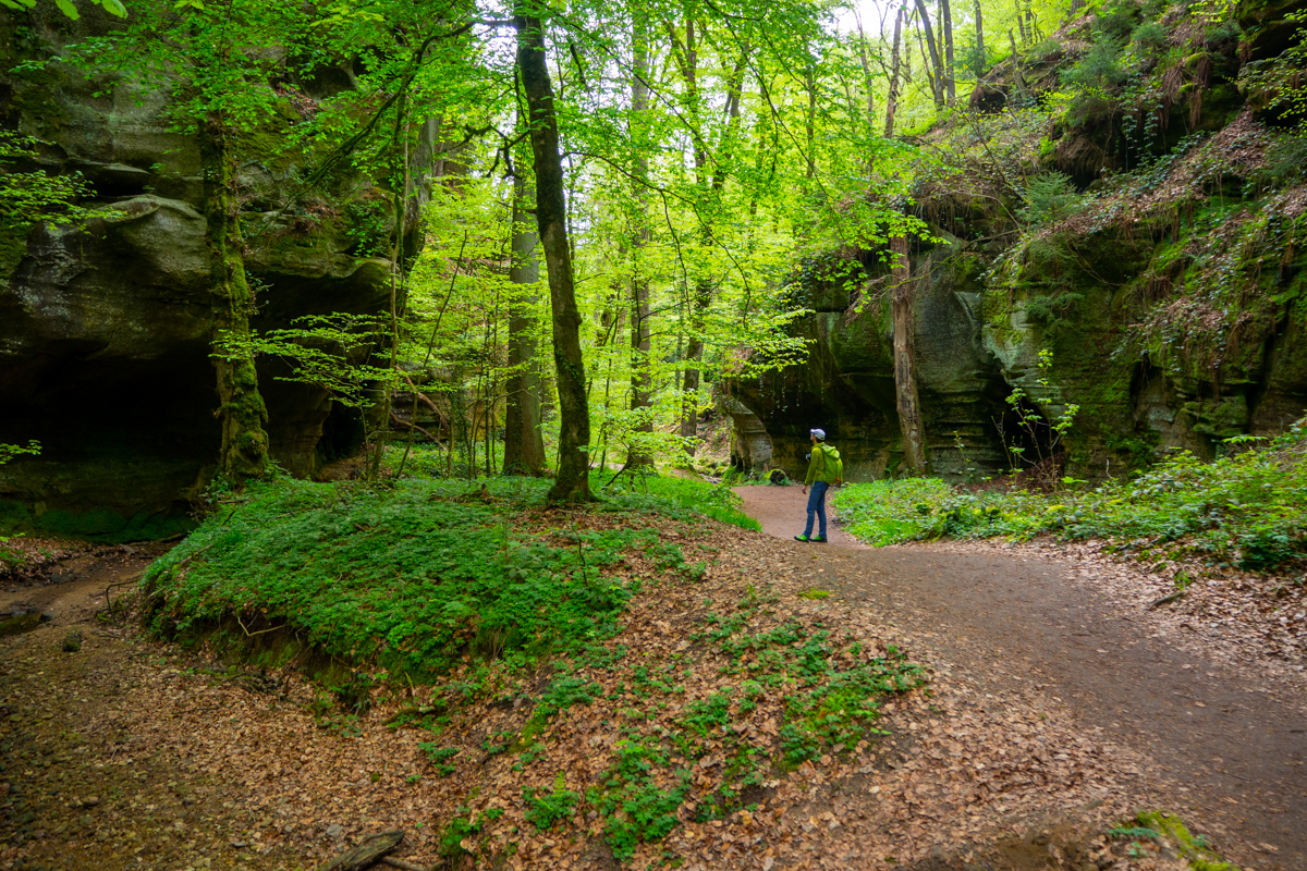 Echternach szlaki