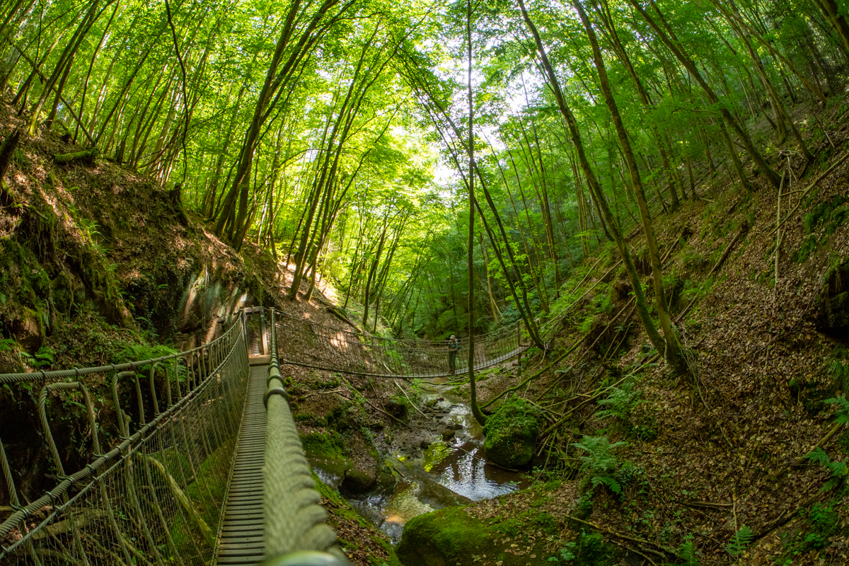 Butzerbachtal