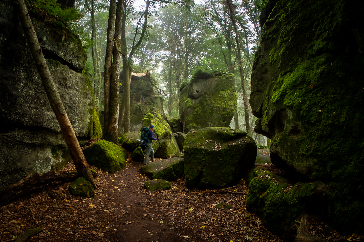 Mullerthal Trail Route 2 mgła