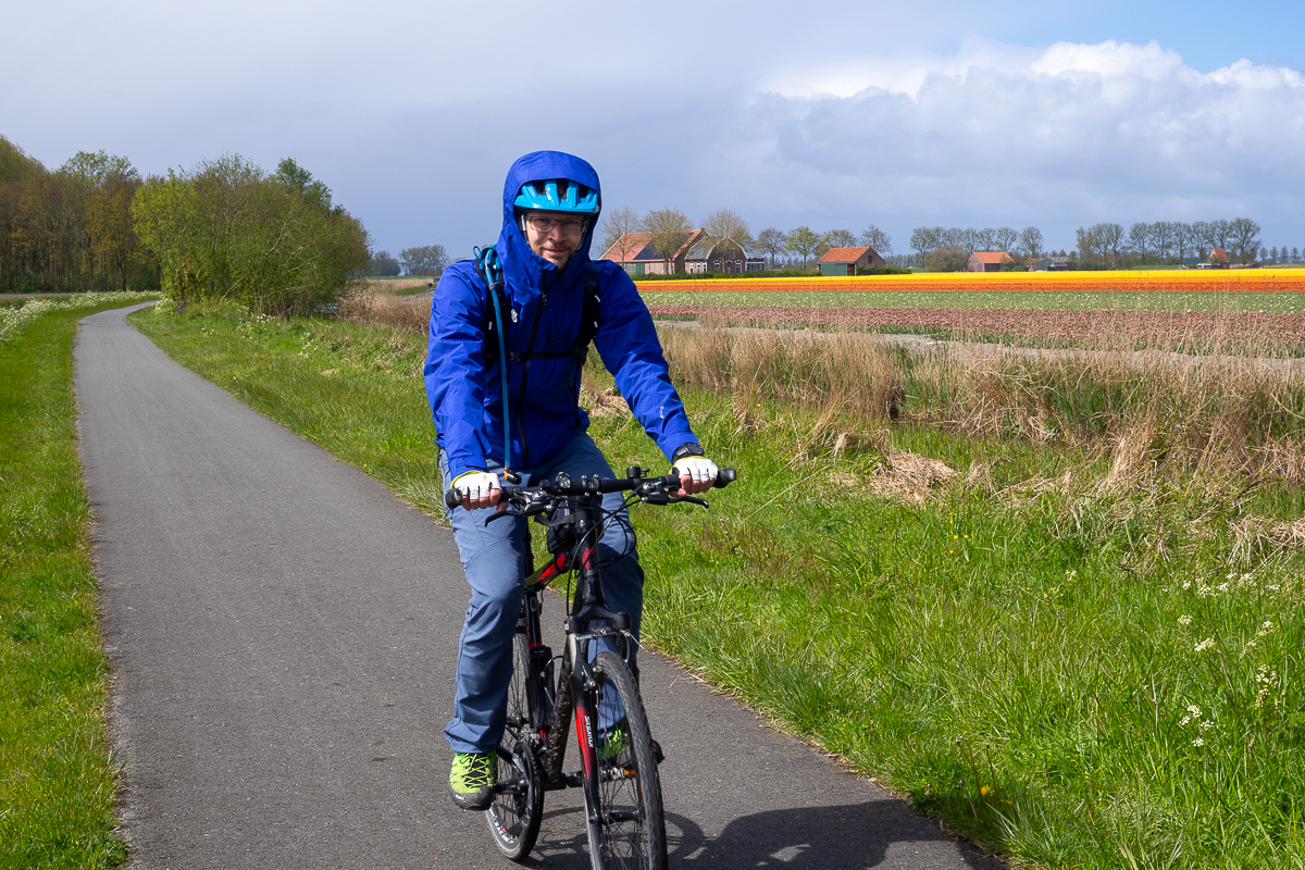 Tulipany na rowerze