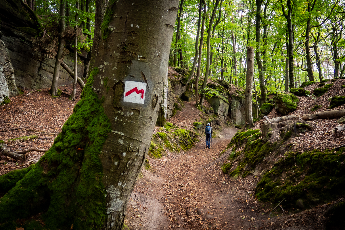 Mullerthal Trail Route 2 znaczek